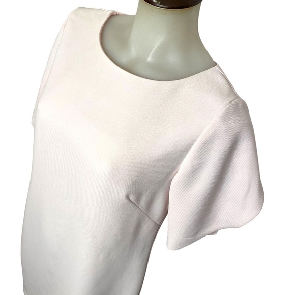 Light Pink Shift Dress With Tulip Sleeves 🤍 - Picture 3 of 10